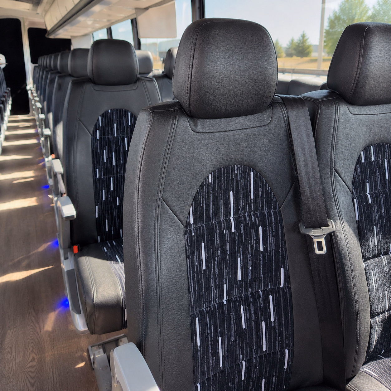 phoenix scottsdale and arizona spring training bus rentals from huntington beach